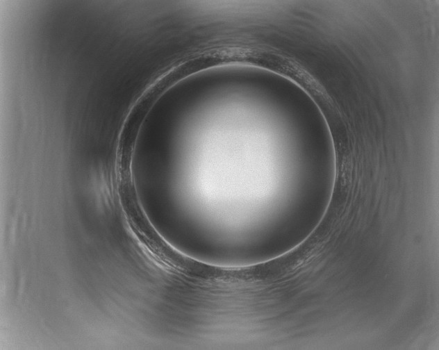 X0000071950722200607071209