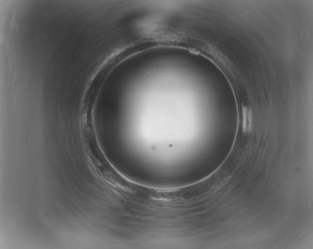 X0000071950723200607071209