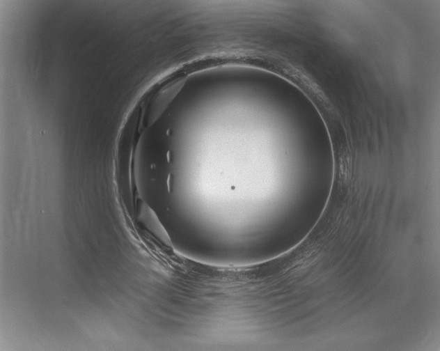 X0000071950724200607071209