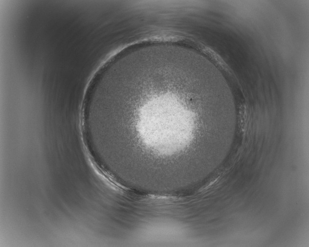 X0000071950726200607071209