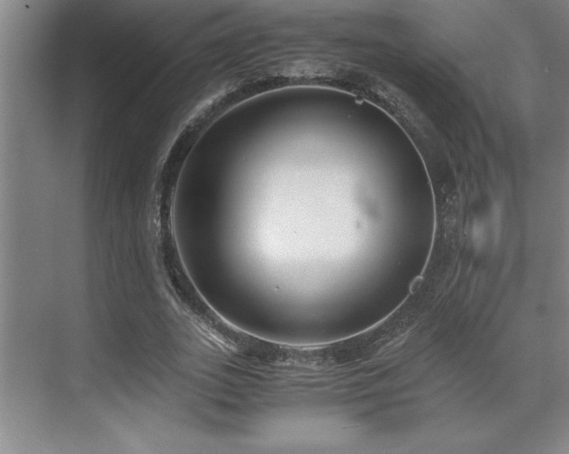 X0000071950727200607071209