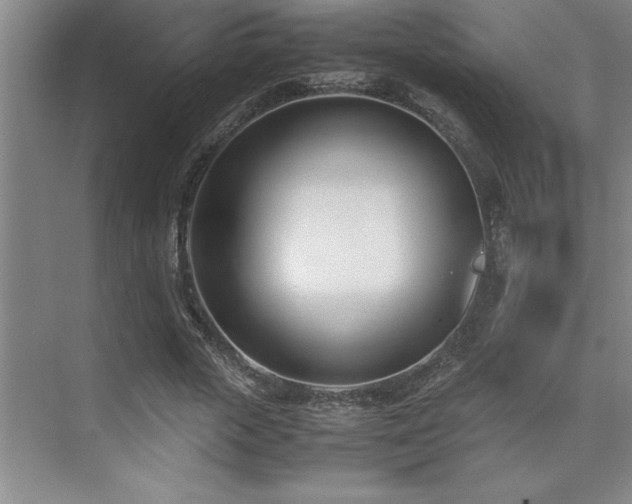 X0000071950729200607071209