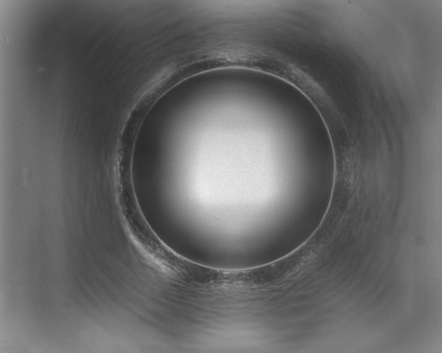 X0000071950730200607071209