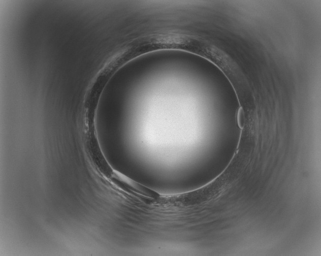 X0000071950731200607071209