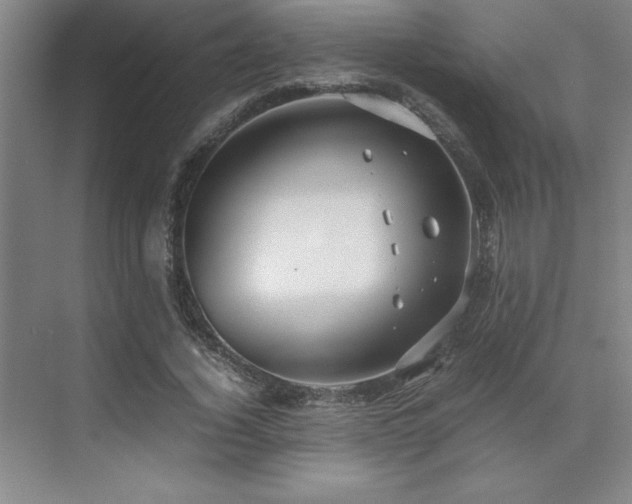 X0000071950732200607071209