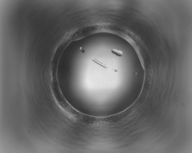 X0000071950734200607071209