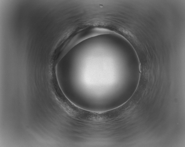 X0000071950735200607071209