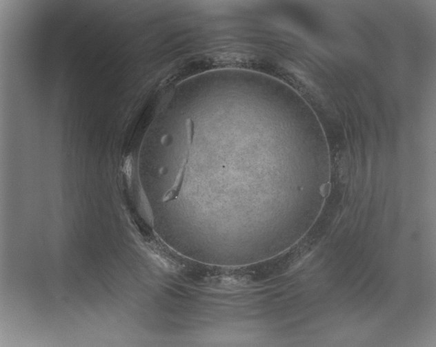 X0000071950737200607071209