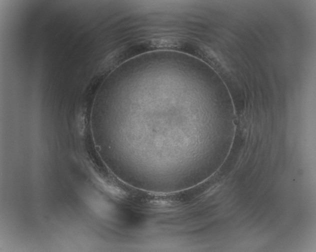 X0000071950741200607071209