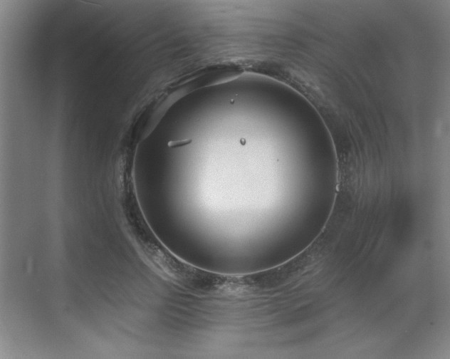 X0000071950742200607071209