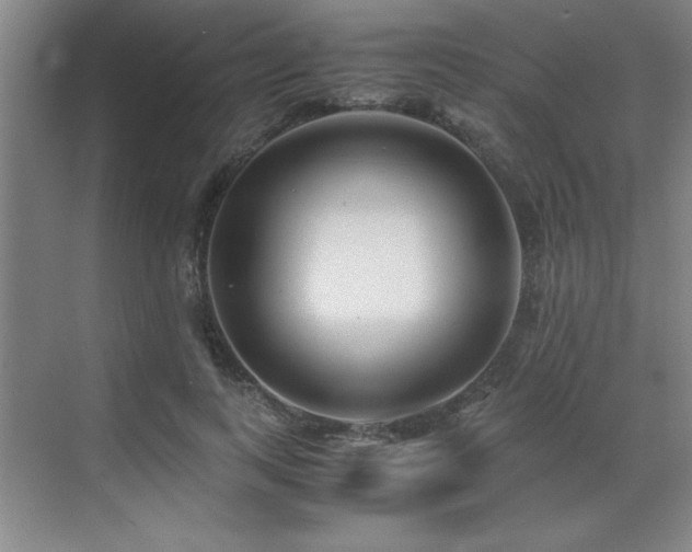 X0000071950743200607071209