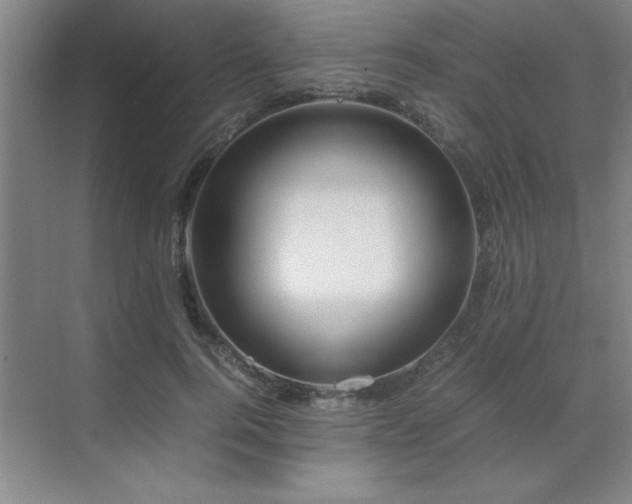 X0000071950744200607071209