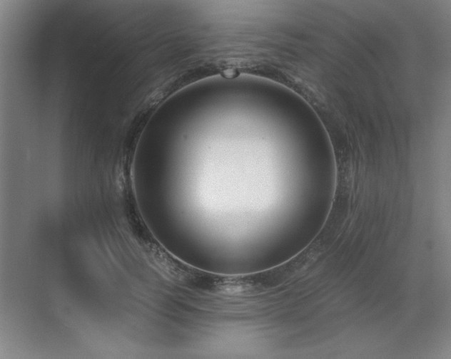 X0000071950746200607071209