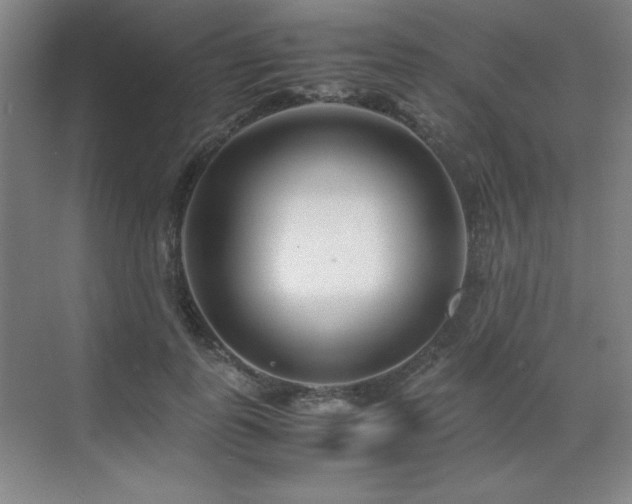 X0000071950747200607071209