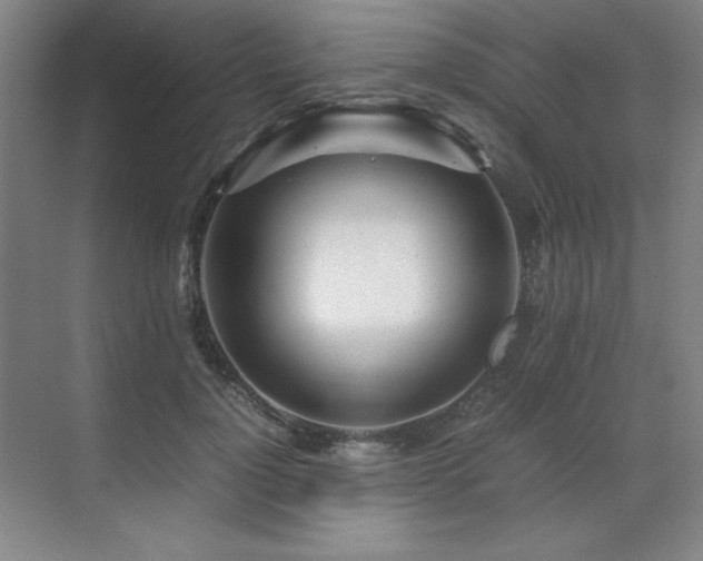 X0000071950748200607071209