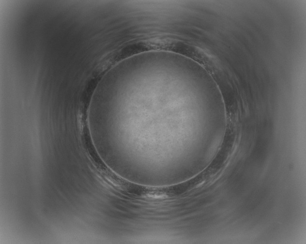 X0000071950749200607071209