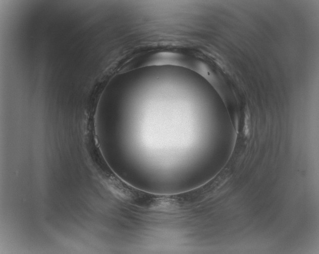 X0000071950750200607071209