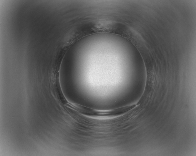 X0000071950751200607071209