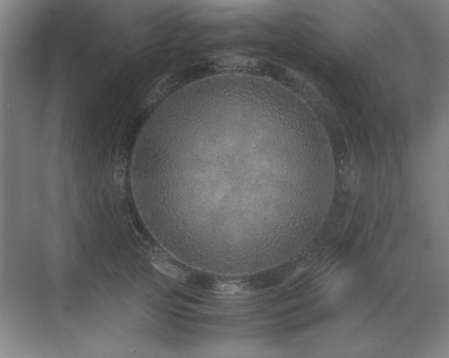 X0000071950753200607071210