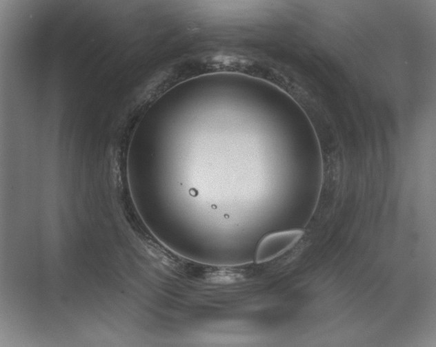 X0000071950754200607071210