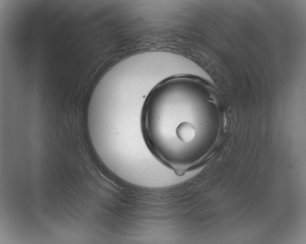 X0000071950756200607071210