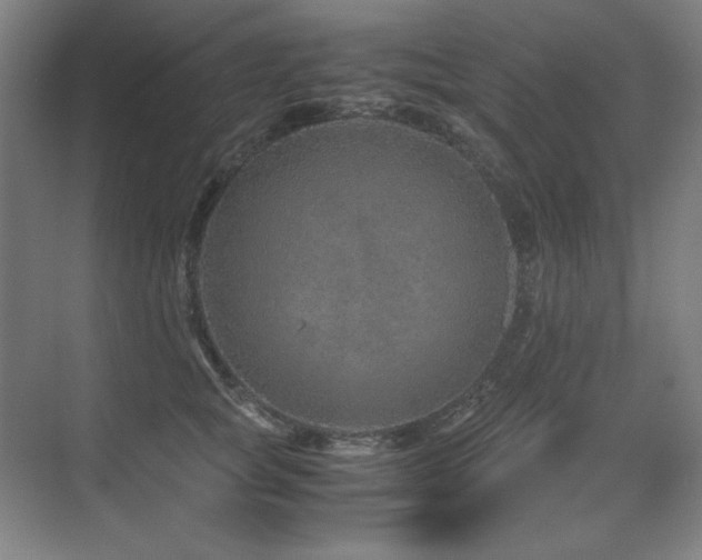 X0000071950757200607071210