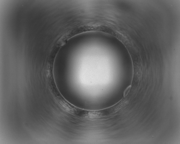 X0000071950758200607071210