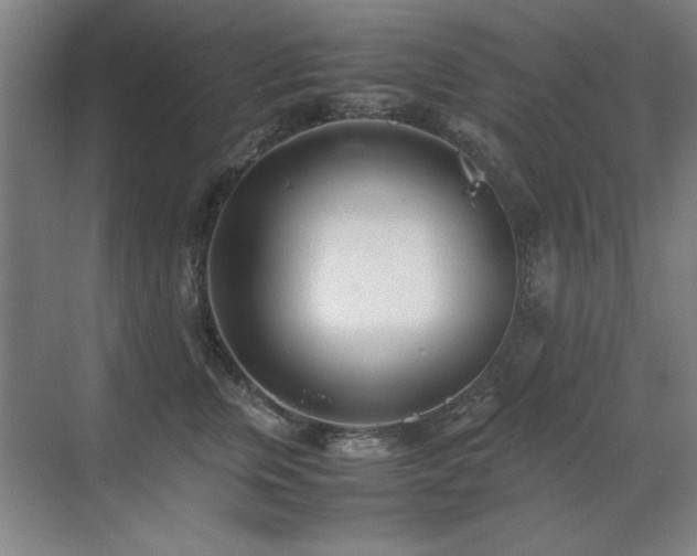 X0000071950759200607071210