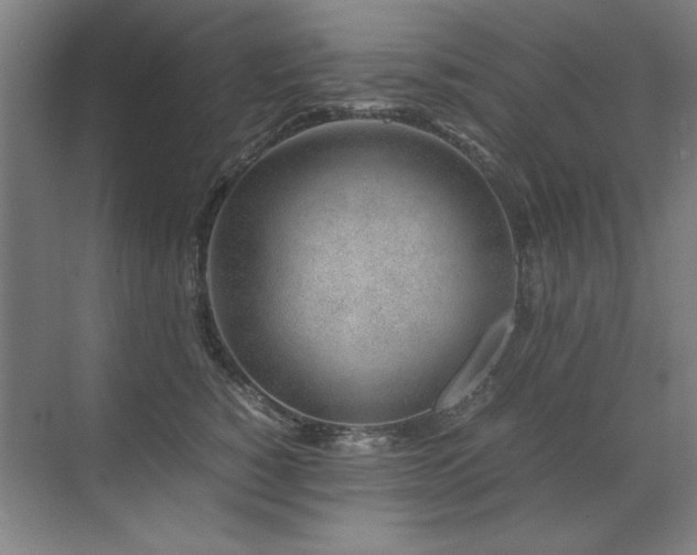 X0000071950760200607071210