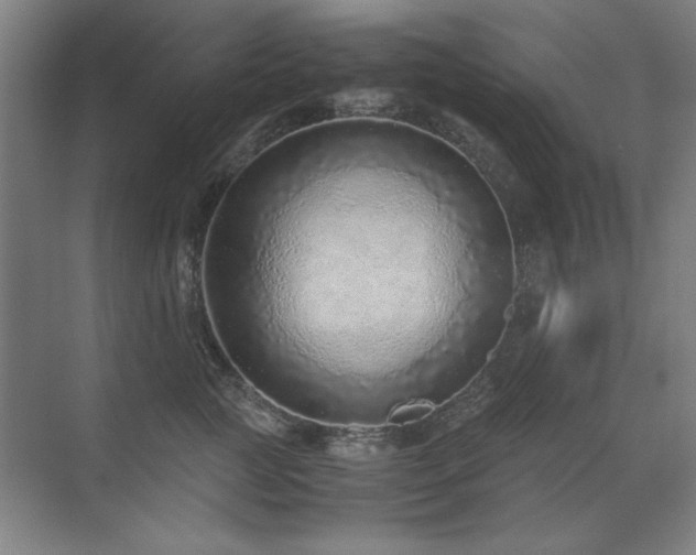 X0000071950761200607071210