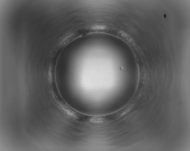 X0000071950762200607071210