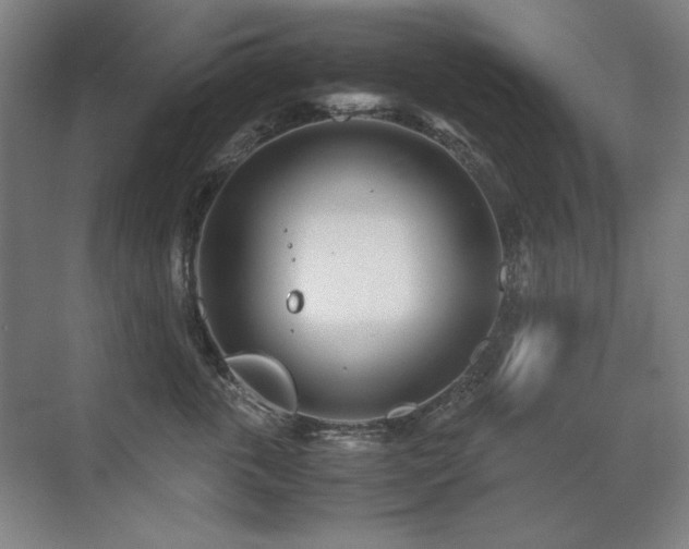 X0000071950763200607071210