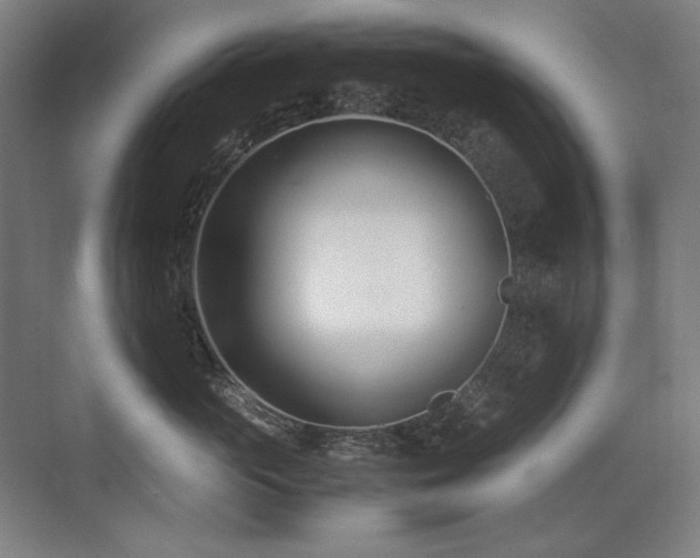 X0000071950765200607071210