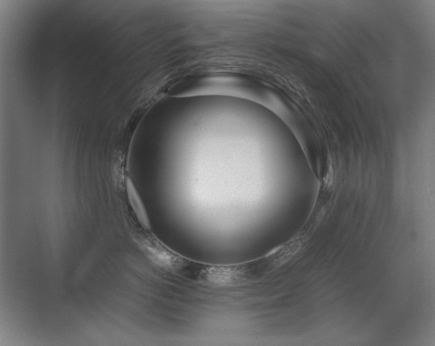 X0000071950766200607071210