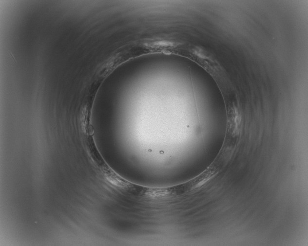 X0000071950767200607071210