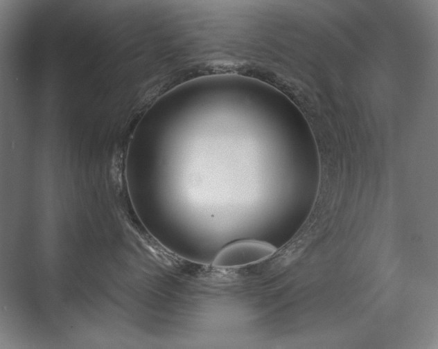 X0000071950768200607071210