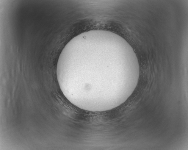 X0000071950769200607071209