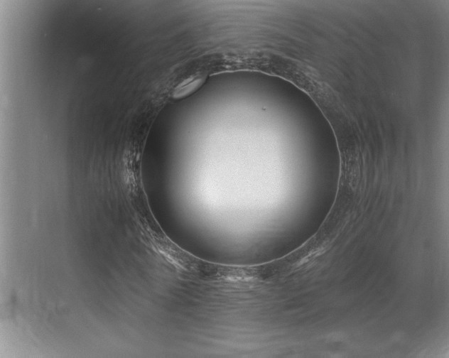 X0000071950770200607071209