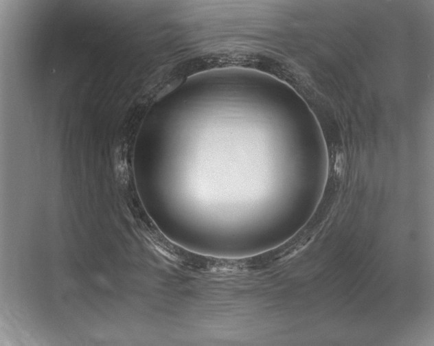 X0000071950771200607071209