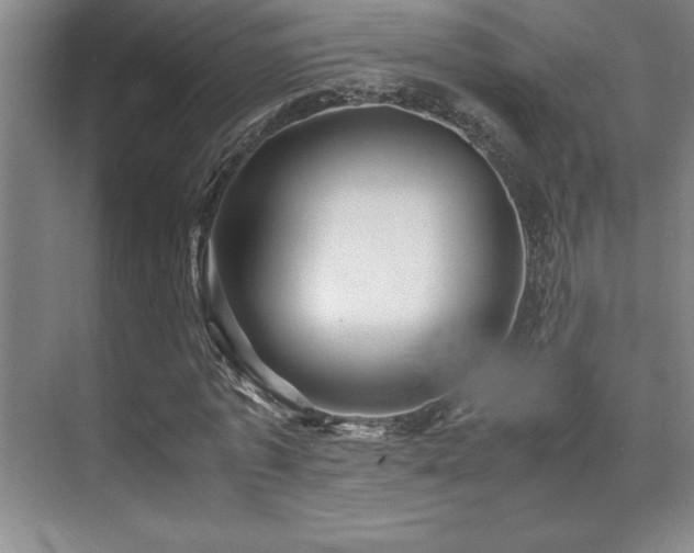 X0000071950773200607071209