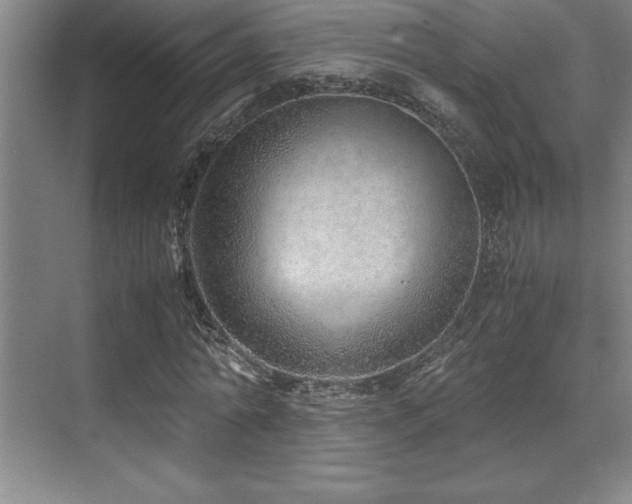 X0000071950774200607071209