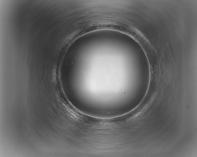 X0000071950777200607071209