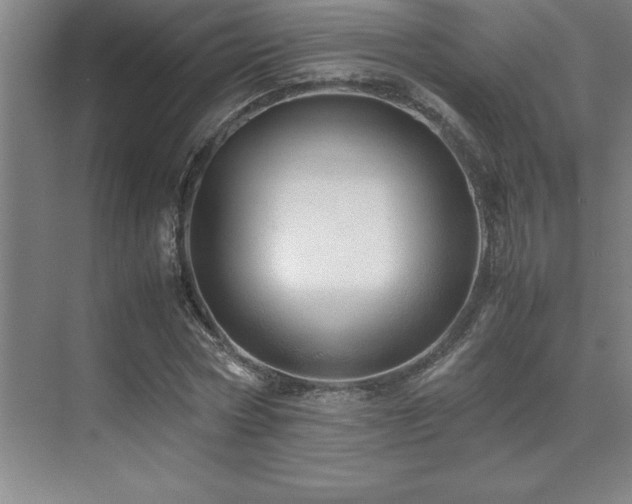 X0000071950778200607071209