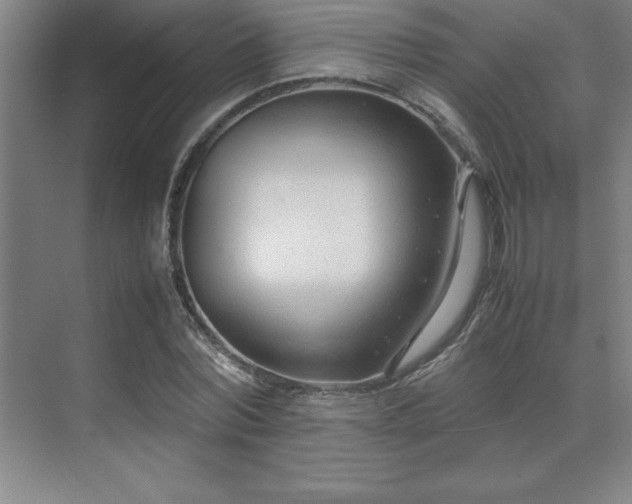 X0000071950780200607071209