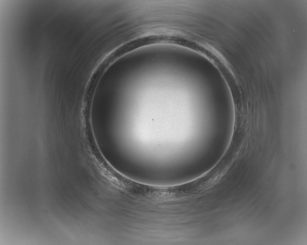 X0000071950783200607071209