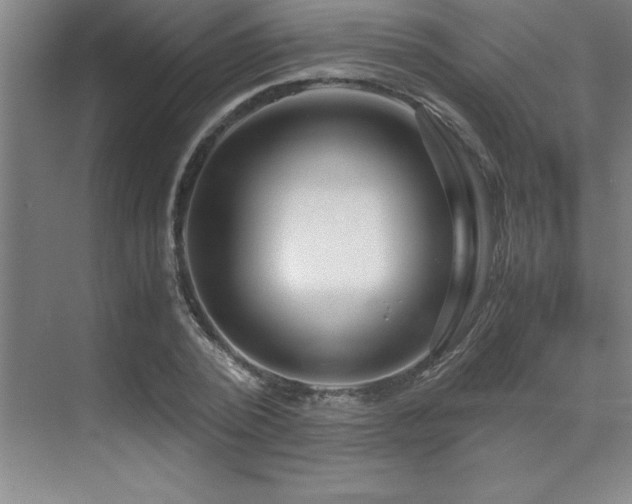 X0000071950784200607071209