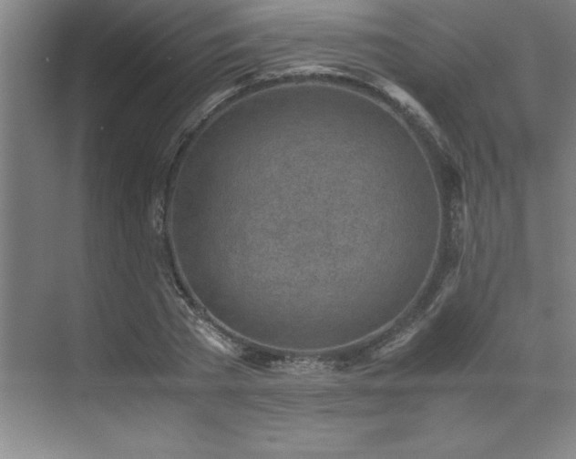 X0000071950785200607071209