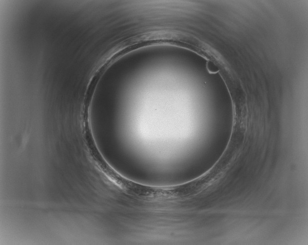 X0000071950786200607071209