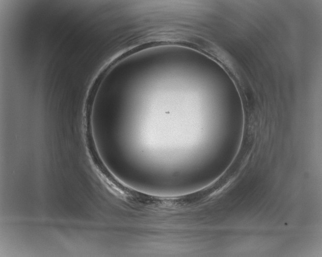 X0000071950787200607071209