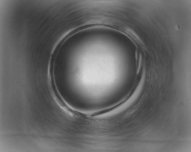 X0000071950788200607071209